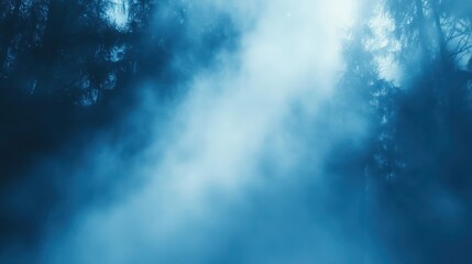 Fototapeta premium Misty Forest