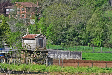 Paesaggi un vecchio Horreo sul cammino Primitivo di Santiago di Compostela fra Arzua e Santiago - Galizia, Spagna