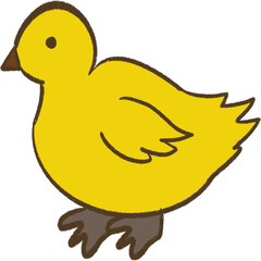 Yellow duck