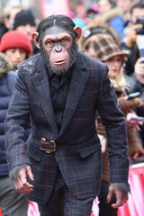 Obraz premium Chimpanzee in Tailored Suit Navigates Crowd with Confidence and Style, Projecting Sophistication.