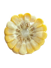 Cross section closeup of an ear of fresh corn
