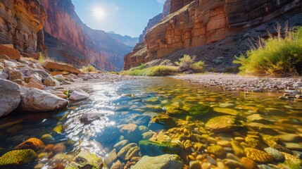 A stream cutting through a rocky canyon, with its clear waters sparkling under the bright sun, creating a dramatic landscape.