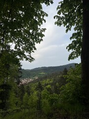 Sternenwald Freiburg 