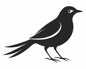Fototapeta premium silhouette of a bird