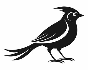 Naklejka premium crow on a white background