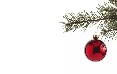 Single red Christmas glass ball hanging on a pine tree branch, isolated on white with copy space