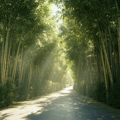Naklejka premium A road with a path of trees on either side