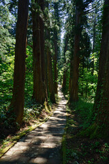 出羽三山神社