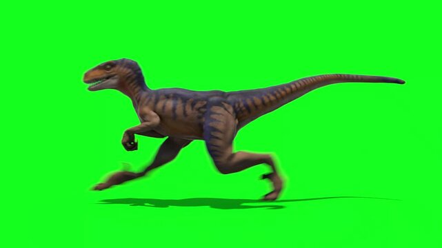 tyrannosaurus rex dinosaur 3d on green screen in High quality 4K