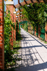 Obraz premium alley in the garden