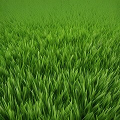 a green grassy landscape