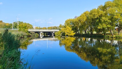 Obraz premium Willows and other deciduous trees grow on the grassy riverbank near the concrete bridge and are reflected in the water. The leaves on them have turned yellow. Reeds are growing in the water. Sunny 