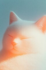 decorated with a sun and a little white cat, a hand illustration in the style of a vector illustration