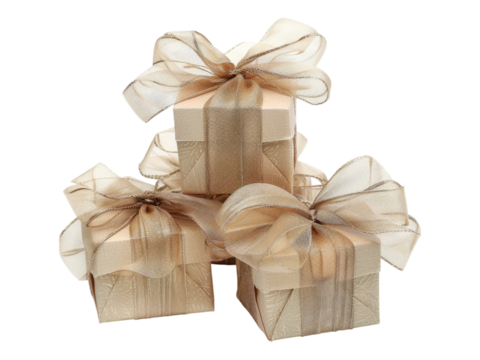 Wedding favors gift box. PNG