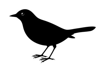 Black crow silhouette, an isolated wildlife illustration