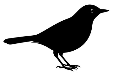 Black crow silhouette, a vector illustration of a wild bird