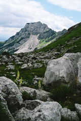Panoramic Mountain Range and Views - Alpine style Alps in Durmitor, Montenegro - Wide Landscape Shot of epic Mountains and Roads