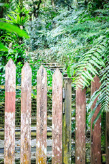 Weathered Wooden Gate Leading to a Lush, Hidden Path