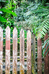 Weathered Wooden Gate Leading to a Lush, Hidden Path