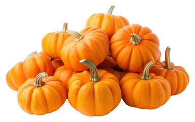 PNG Heap of pumpkins vegetable squash plant.