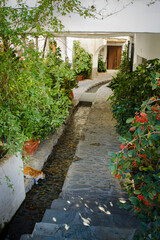 A narrow alley with white walls, greenery, and a cobblestone path with flowing water in the middle, Alpujarras, granada, andalucia, espa a