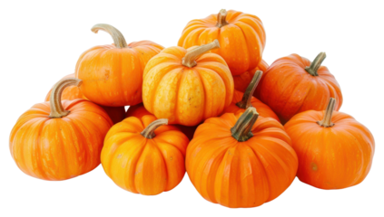 PNG Heap of pumpkins vegetable squash plant.