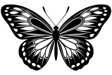  butterfly silhouettes collection, vector illustration isolated on a white background