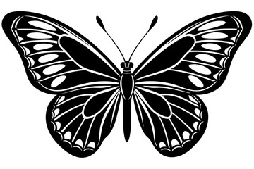  butterfly silhouettes collection, vector illustration isolated on a white background