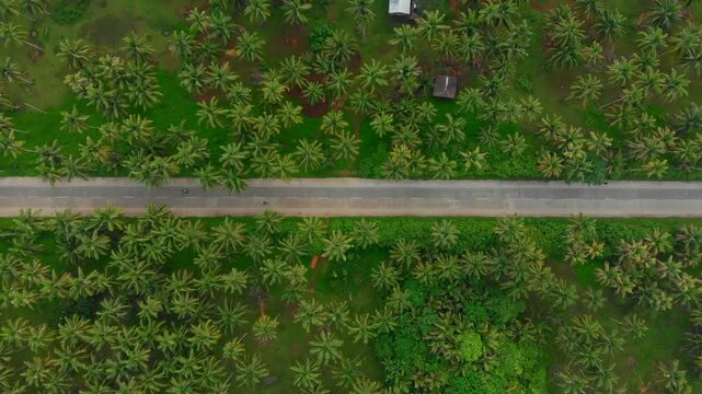 Aerial view of a beautiful tropical landscape with palm trees and a road, Maasin, Philippines.