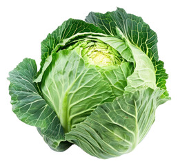Fototapeta premium PNG Cabbage vegetable produce plant.