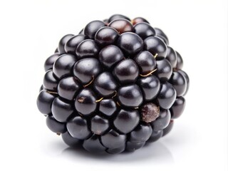 Close-up of a single fresh blackberry