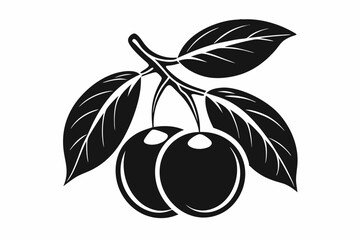 kumquat silhouette vector illustration