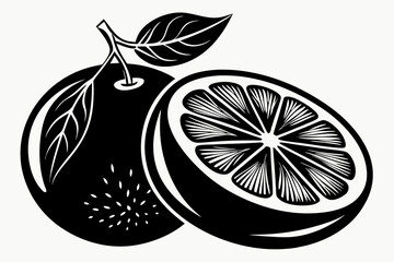 pomelo silhouette vector illustration