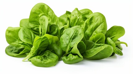 Fototapeta premium Fresh green spinach leaves piled together on a white background, highlighting their crisp texture