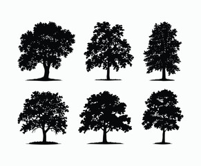 Oak tree silhouette EPS vector file illustration template