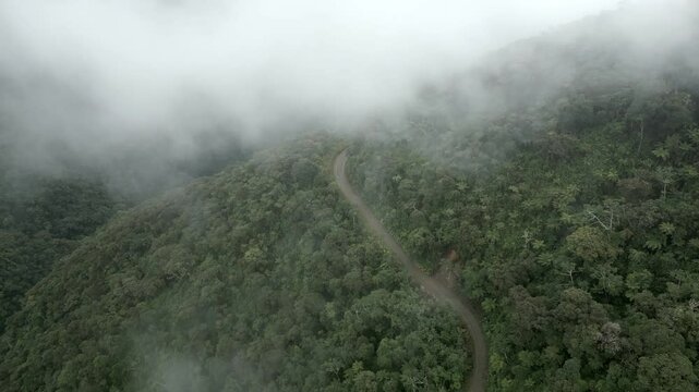 Aerial view of the winding road through lush green forest and majestic mountains, Death Road, Los Yungas, Bolivia.