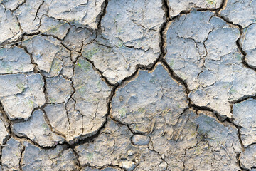 Dry cracked mud closeup