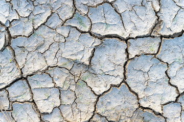 Dry cracked mud closeup