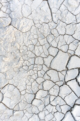 Dry cracked mud closeup
