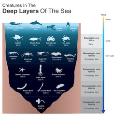 Creatures In The Deep Layers Of The Sea. Sample of creatures in under deep sea completely dark.