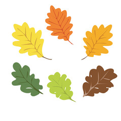Oak leaf vector. Autumn oak leaf clipart. Autumn element. Flat vector in cartoon style isolated on white background.