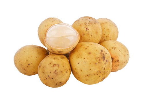 Lansium parasiticum isolated on a white background.
