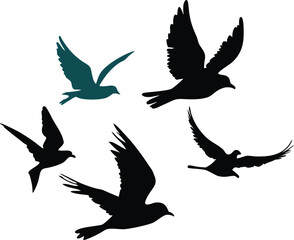 set of silhouettes of birds