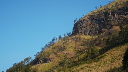 Obraz premium steep cliff with trees on top