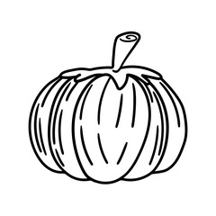 pumpkin illustration for card website, application, printing, document, poster design, etc.