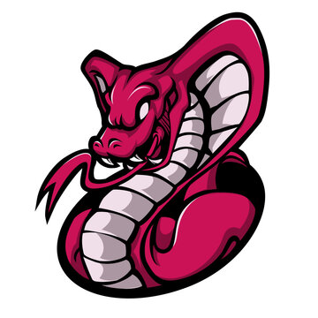 vector of cobra snake poison mascot logo