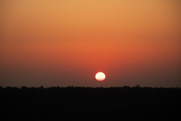 sunset over the forest
