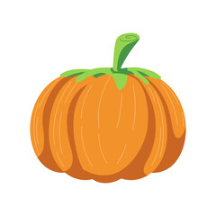 pumpkin illustration for card website, application, printing, document, poster design, etc.