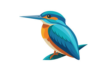 Fototapeta premium Kingfisher bird vector art illustration 
