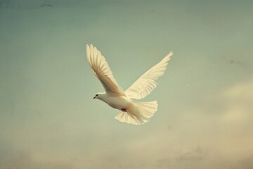 Obraz premium A white bird glides effortlessly across a tranquil sky, casting delicate shadows on the clouds below.